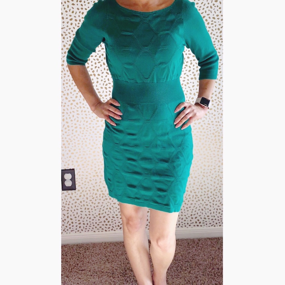 Gianni Bini Kelly Green Sweater Dress.